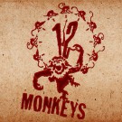 Οι 12 Πίθηκοι