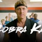 Το Cobra Kai κερδίζει καθημερινά κοινό και κριτικούς! (Και δικαίως!)